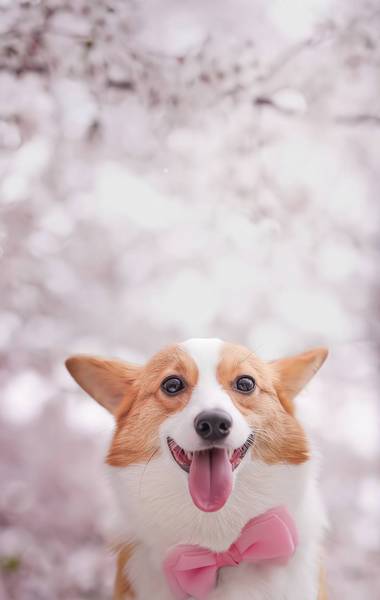 ���˽��ù���ͷ����ҫ��������ɶ��