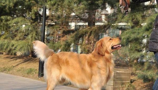 ���ģ���ë������һЩ�£�ԭ���ǰ��㵱�����ˣ�