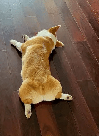 ����ǧ��ٹֵ�˯�ˣ�������ʲô���壿