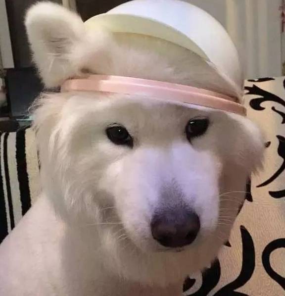 ���˼ҶԹ������������޼ɵ����ܶ������Ϊ�����Ǽ���ִ���