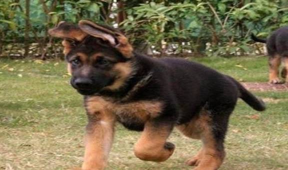 �¹�����Ȯ������������ʶ