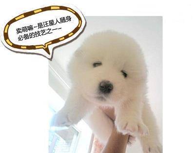 �ļ����������������ڵ��ڲк�ë����