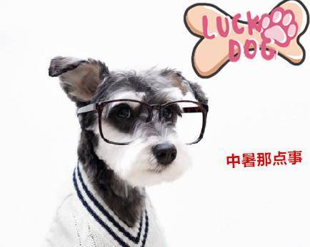 �ļ����������������ڵ��ڲк�ë����