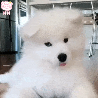 ���ٿ��Ź����ˣ�ʵ��������Ҳ���Ӵ󲿷ֳ���Ȯ���µ�5����