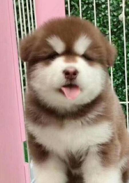 ��5��С������Ǳ�������Ҫ��Ȼ����ڵ�