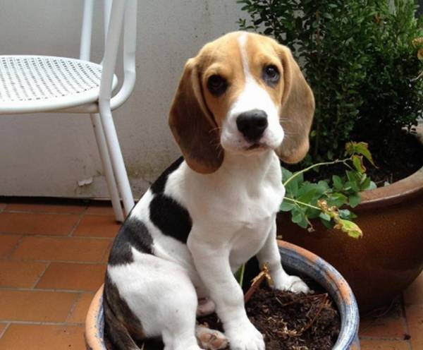 �ȸ�Ȯ�൱���˼�����������ȸ�ȮӦ����ô����