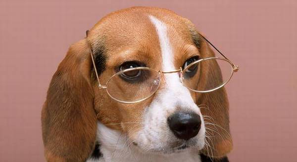 ��������������Ϊ����Ϊ�˱������ˣ�������