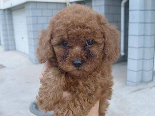 С̩��������費��Ҫͨ����