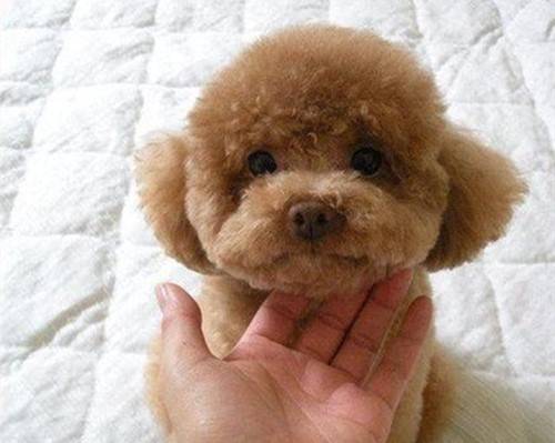 С̩��������費��Ҫͨ����