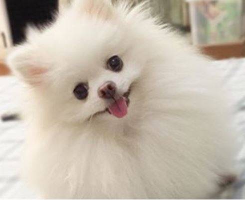 ʲô�����ܹ�Э������ȥ���,�����԰ײ�ȥ�����