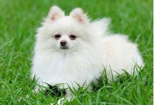 ʲô�취�ù����ٴ�л���ᣬ������������������ô����