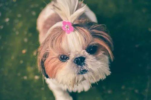 �ļ�Ҫ��С��ë������ˬ���⽫����𺦵������˼��������Ľ���