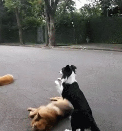 ������ǳ�����ѵ���ѣ���ô����ѵ����Ҫ�Ĺ�����