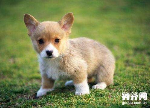 ����ϲ���ҽ���ô�죬��β����ù������ҽ�