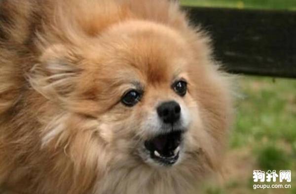 ���������ҷͽ���ô�죿��������ҽе�ѵ��������