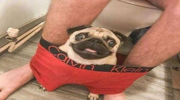 �����ϲ�����������ϲ������ԭ����ʲô�أ�