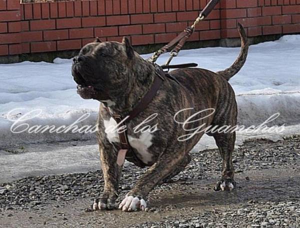 Ȯ�������κ������Ʒ��ô�Ŷ���Ǯ