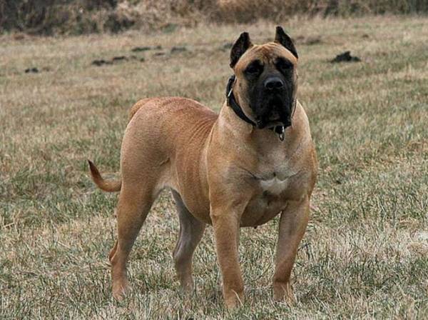 Ȯ�������κ������Ʒ��ô�Ŷ���Ǯ