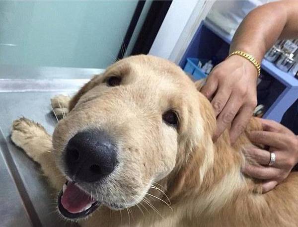 �����ܴ�������ֻ�������ȹ�ɢ�ȣ��п����ǲ�Σ��ǰ�ף�