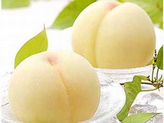 �׶���_�׶�Ӫ����ʳ_�ʺ�2-3�걦���Ե�ˮ����