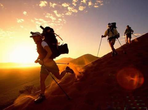 [ͽ��]ͽ����Խ�ļ��ɺ�Ҫ��&nbsp;[��ͼ]