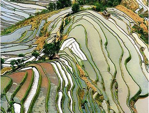 [�����Ӱ�]�й������������ĵط�