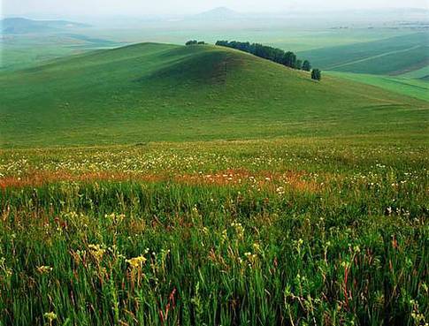 [�����Ӱ�]�й������������ĵط�