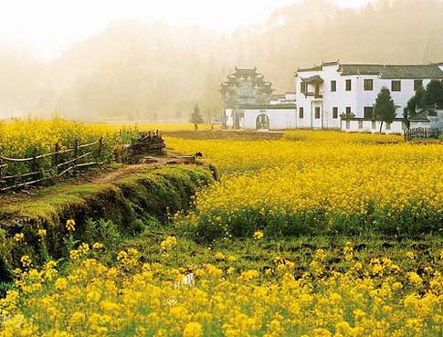 [�����Ӱ�]�й������������ĵط�