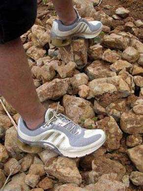 [Ʒ�ƽ���]Adidas-A1&nbsp;�пỷ����ʵս����