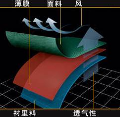 [����֪ʶ]�±���WINDMASTER&nbsp;[��ͼ]