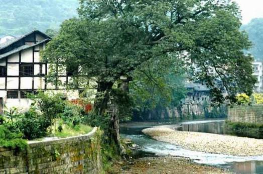 [����]��ɽ�����еİ������