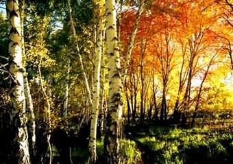 [�½�]��ɳ��