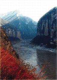 [����]����Ͽ