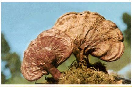 [������]���˰���