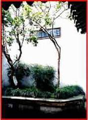 [����]������԰