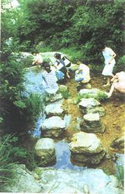 [�㽭]��Ϫ�лƴ��ɳ���԰