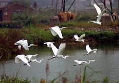 [��Ʒ·��]���ͣ�������ˮ��������