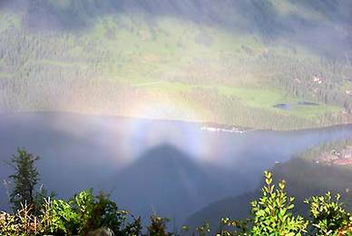 [��������]����˹��ͻ�����桰��⡱