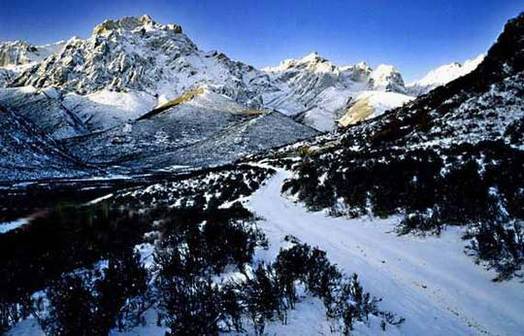 [��������]��������ѩɽͽ��������¿�Ѻ���&nbsp;[��ͼ]