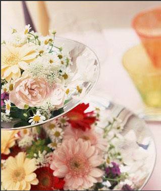 ���һ�� �ڼҹ���Ũ����������˽�
