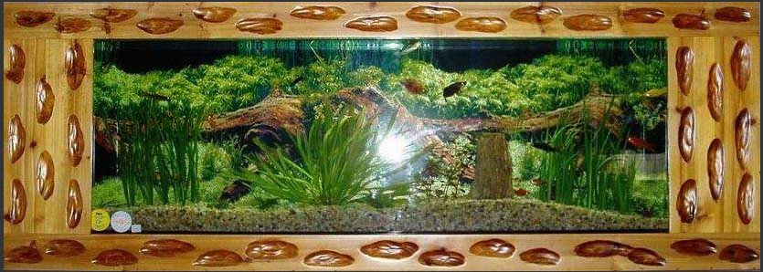����ڹ����չʾ�Ҿ�֮��