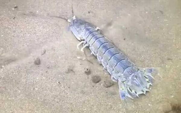 ���Ϻ��ʲôϺ��