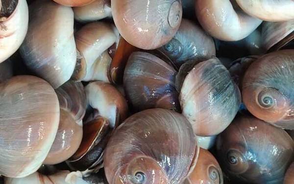 �ݵ��������Ƽ�ͼƬ��ȫ