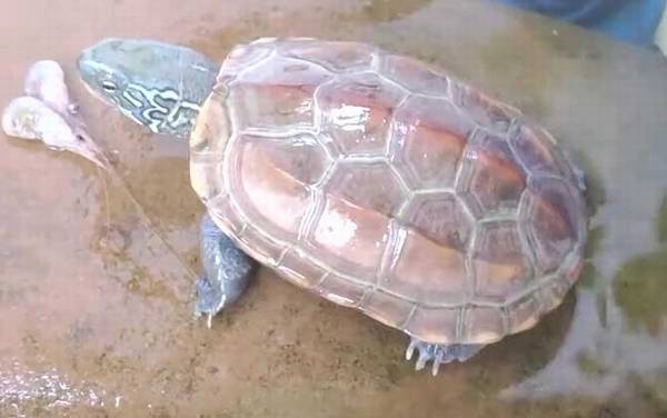 ���ٹ���ʲô�ꣿ