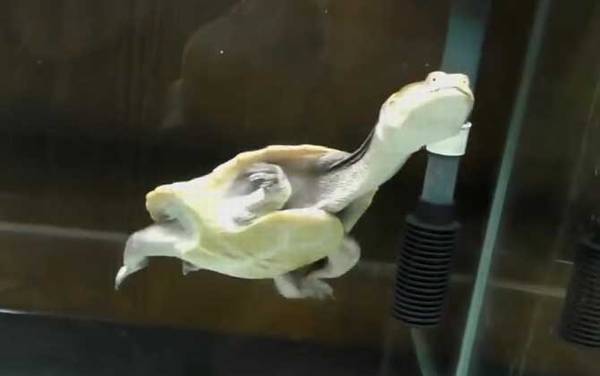 ���߾�����ʲô�ꣿ