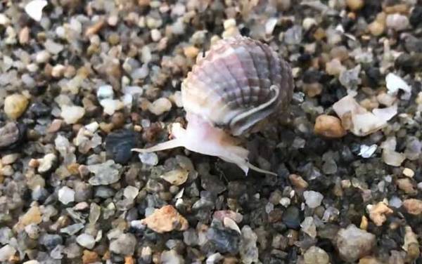 ������ʲô�ݣ�