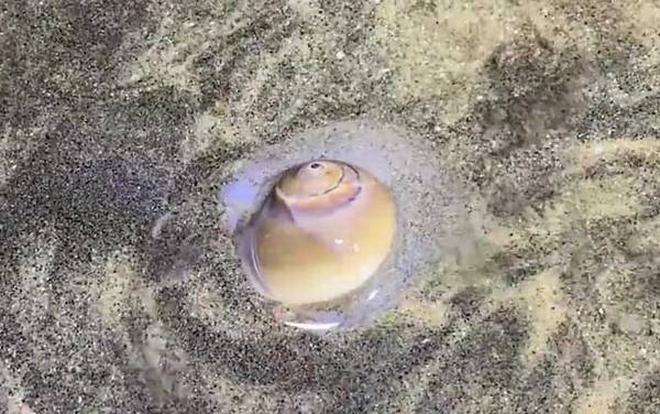 è������ʲô�ݣ�