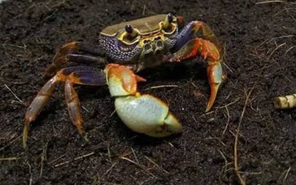 ����з�������Ƽ�ͼƬ��ȫ
