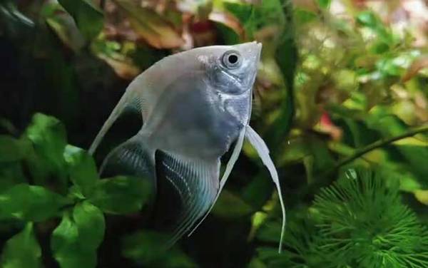 ��ʹ����ʲô�㣿