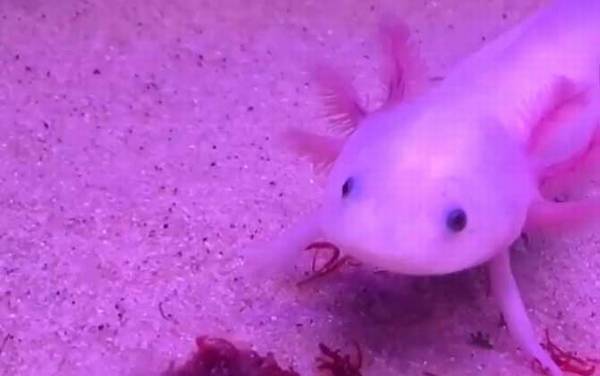 �ۿ����ʲô���